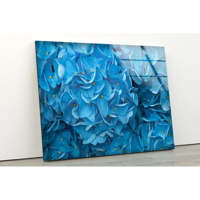 Blue Hydrangea Closeup UV Direct Aluminum Print Australian Made Quality