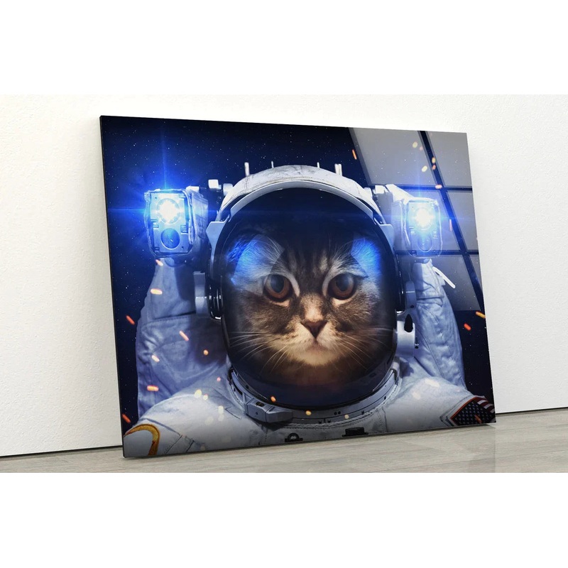Cat in Astronaut Kit UV Direct Aluminum Print Australian Made Quality