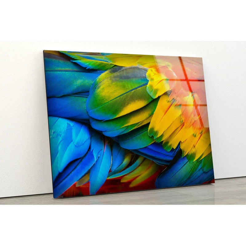 Colorful Feathers View UV Direct Aluminum Print Australian Made Quality