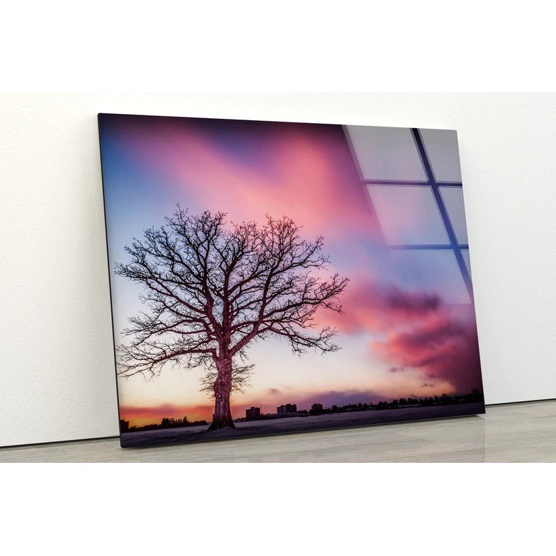 Dead Tree & Sunset Sky UV Direct Aluminum Print Australian Made Quality