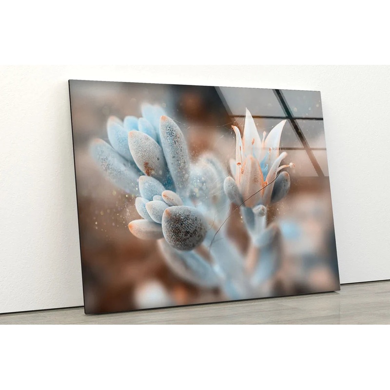 Flower View Photograph UV Direct Aluminum Print Australian Made Quality