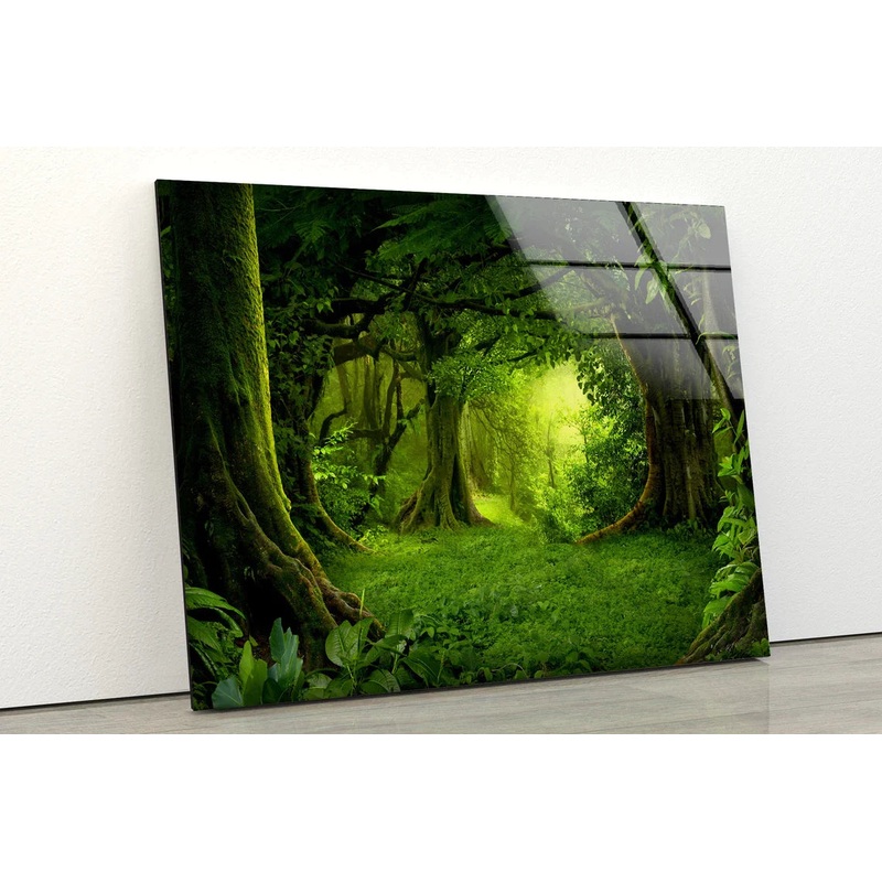 Green Deep Forest View UV Direct Aluminum Print Australian Made Quality