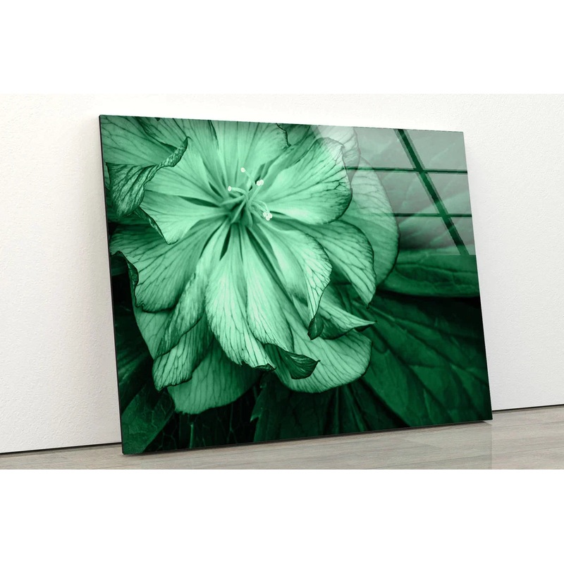 Green Flower Closeup UV Direct Aluminum Print Australian Made Quality