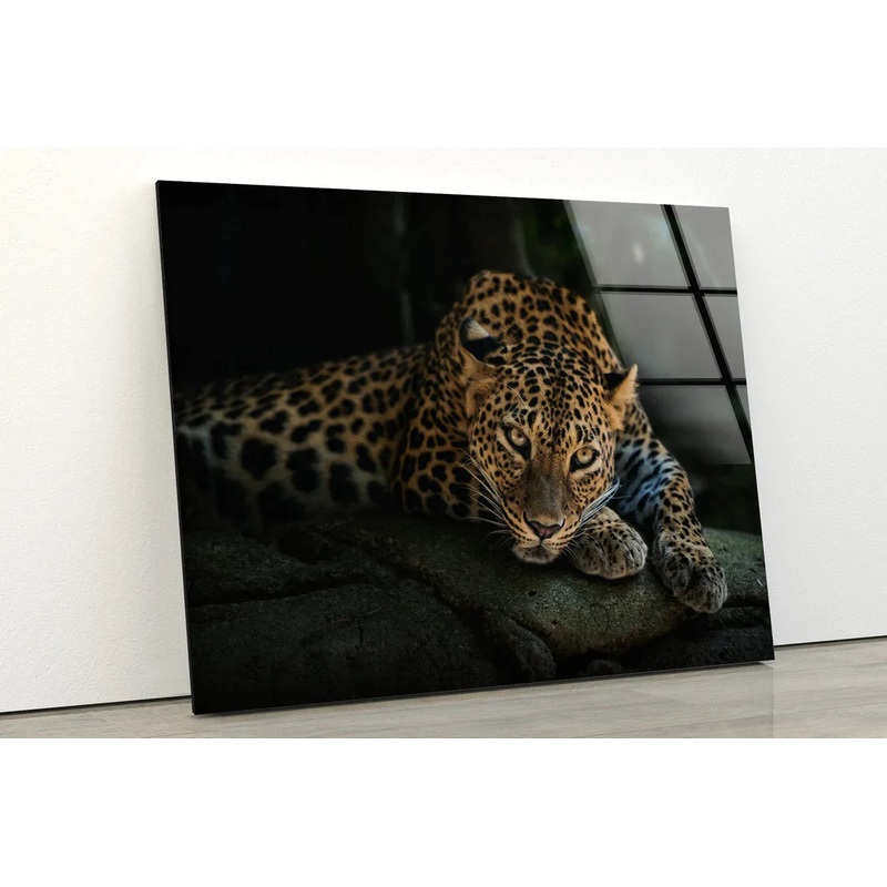 Leopard Dark Closeup UV Direct Aluminum Print Australian Made Quality
