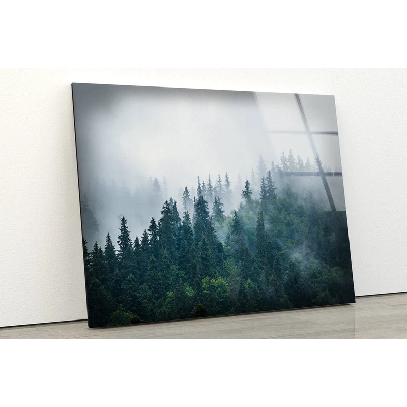 Misty Forest Photograph UV Direct Aluminum Print Australian Made Quality