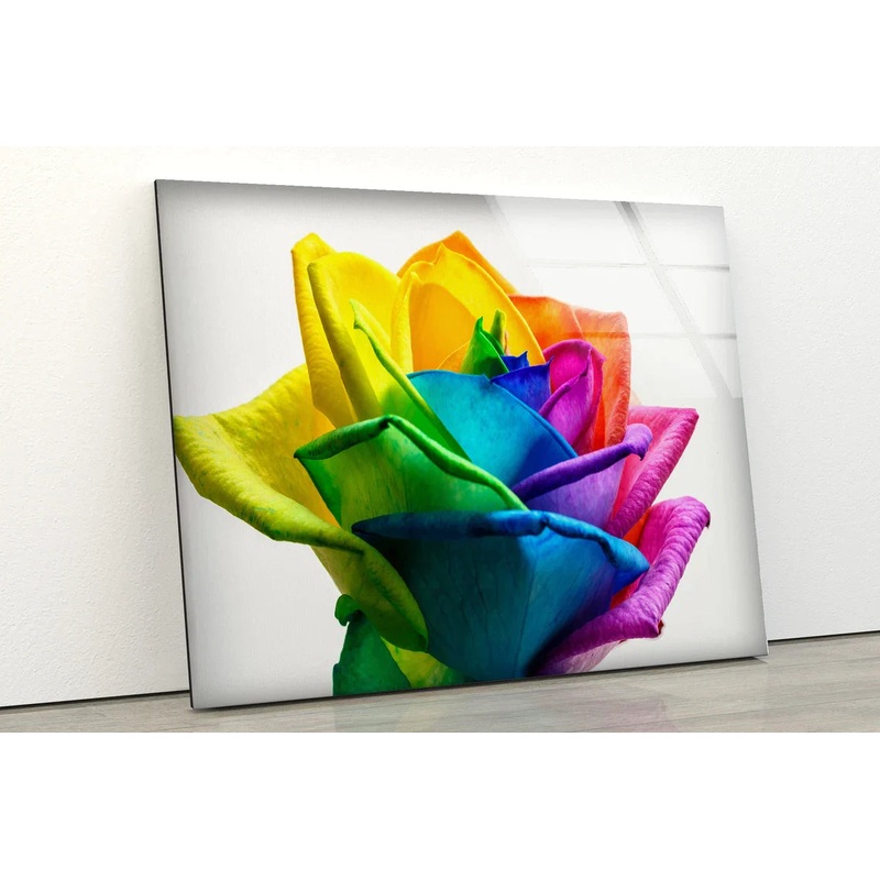 Multicolor Rose Flower UV Direct Aluminum Print Australian Made Quality
