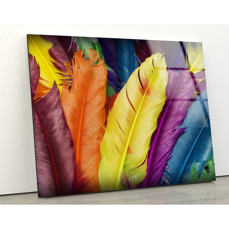 Multicolored Feathers UV Direct Aluminum Print Australian Made Quality