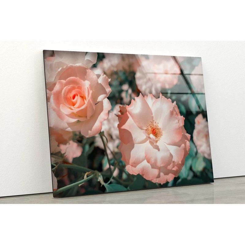 Pink Flowers on Tree UV Direct Aluminum Print Australian Made Quality