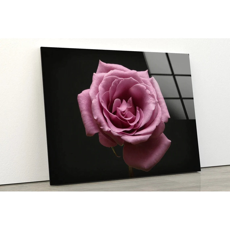Pink Rose Flower View UV Direct Aluminum Print Australian Made Quality