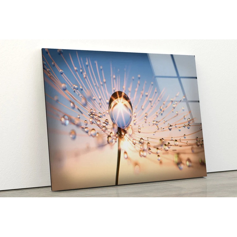 Waterdrops on Dandelion UV Direct Aluminum Print Australian Made Quality