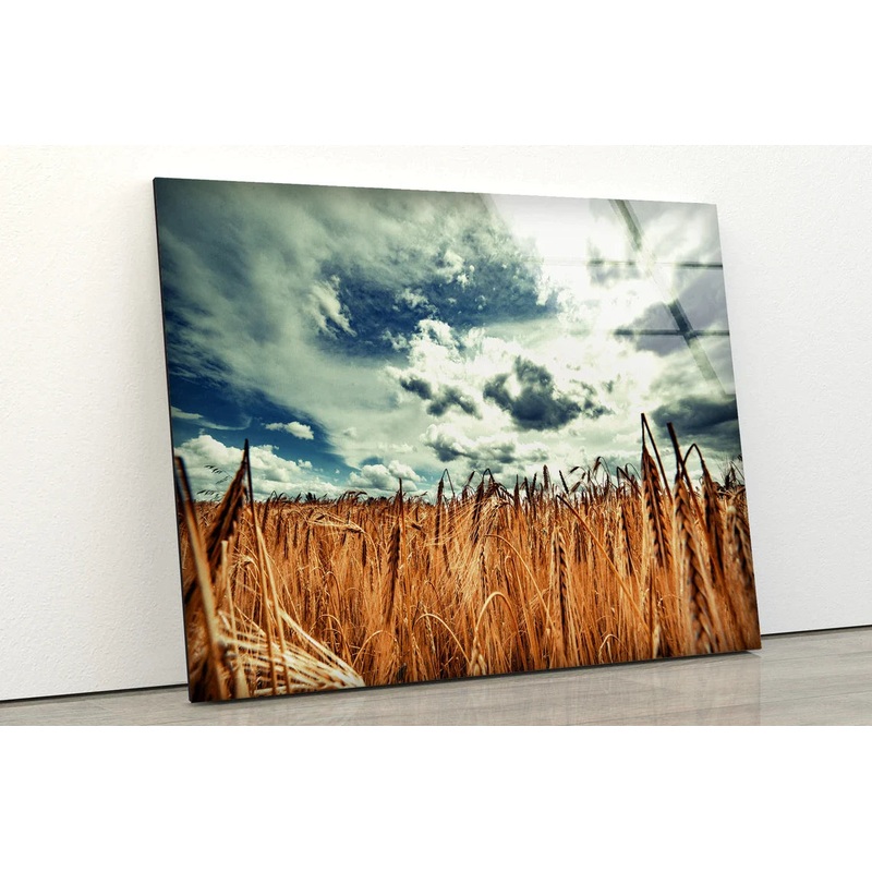 Wheat Field & Sky View UV Direct Aluminum Print Australian Made Quality