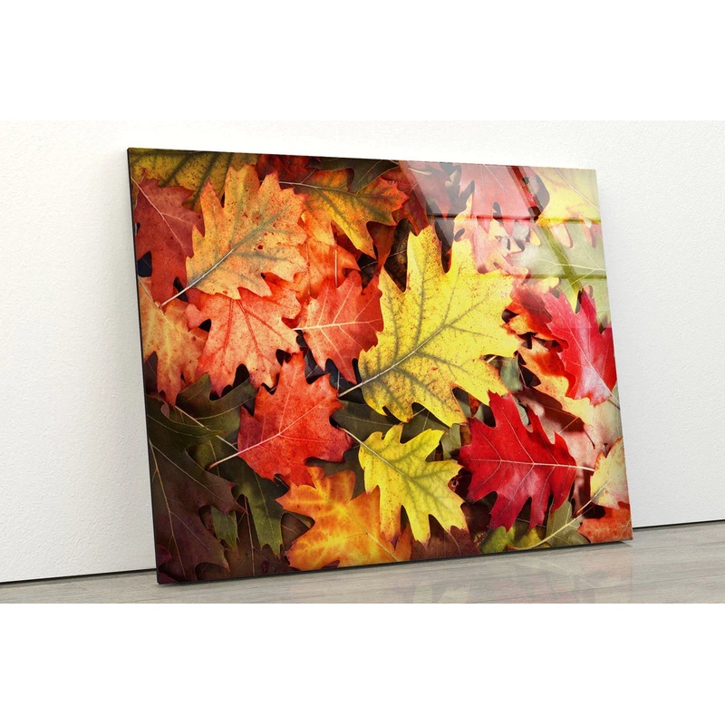Autumn Tree Leaves View UV Direct Aluminum Print Australian Made Quality