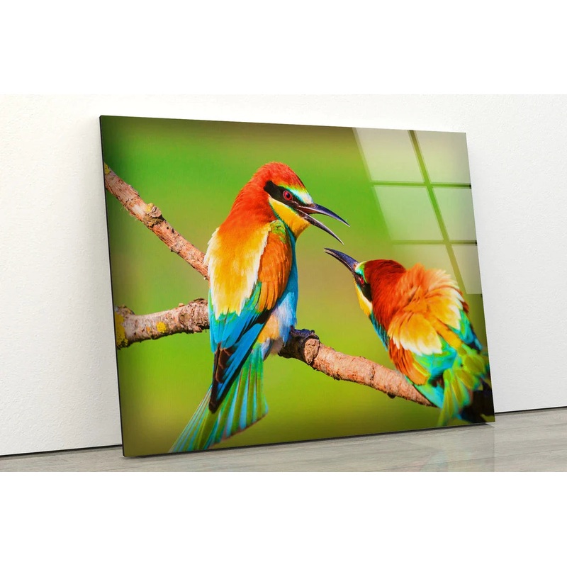 Birds on Tree Branch UV Direct Aluminum Print Australian Made Quality