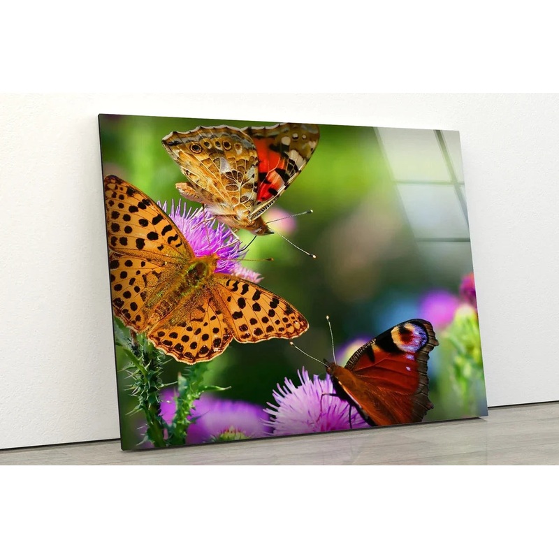 Butterflies on Flowers UV Direct Aluminum Print Australian Made Quality