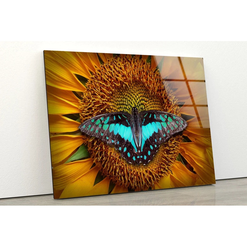 Butterfly on Sunflower UV Direct Aluminum Print Australian Made Quality