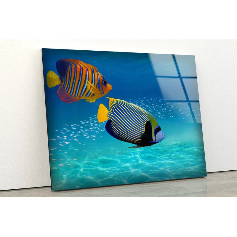 Colorful Fish in Sea UV Direct Aluminum Print Australian Made Quality