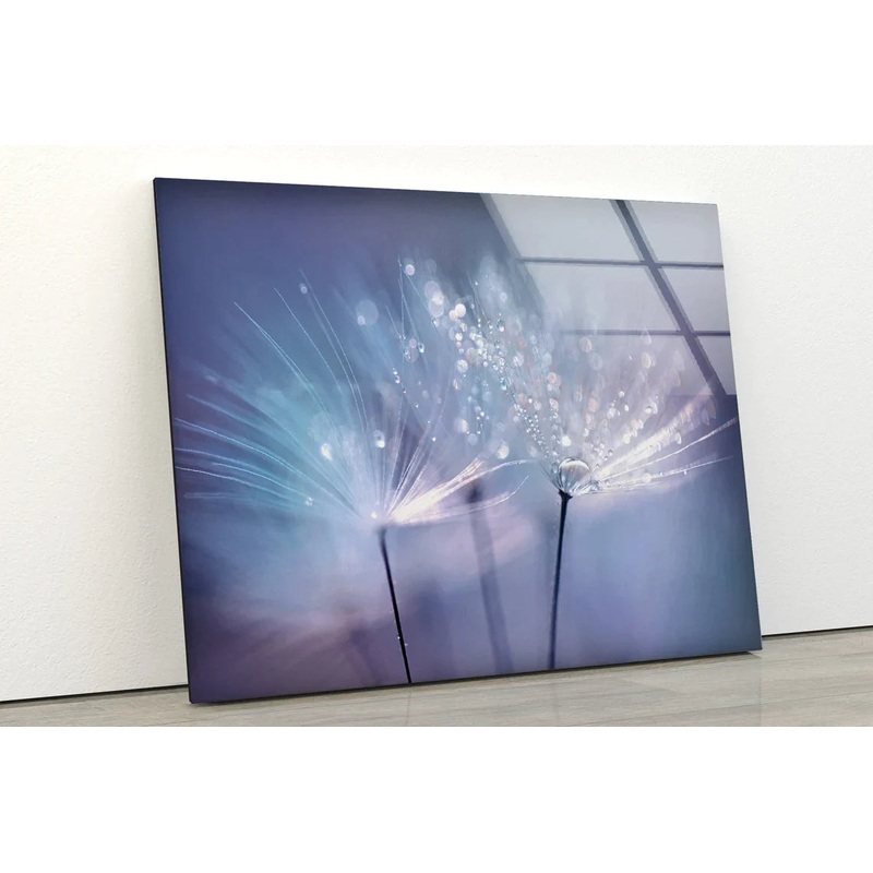 Dandelion Flower Water UV Direct Aluminum Print Australian Made Quality