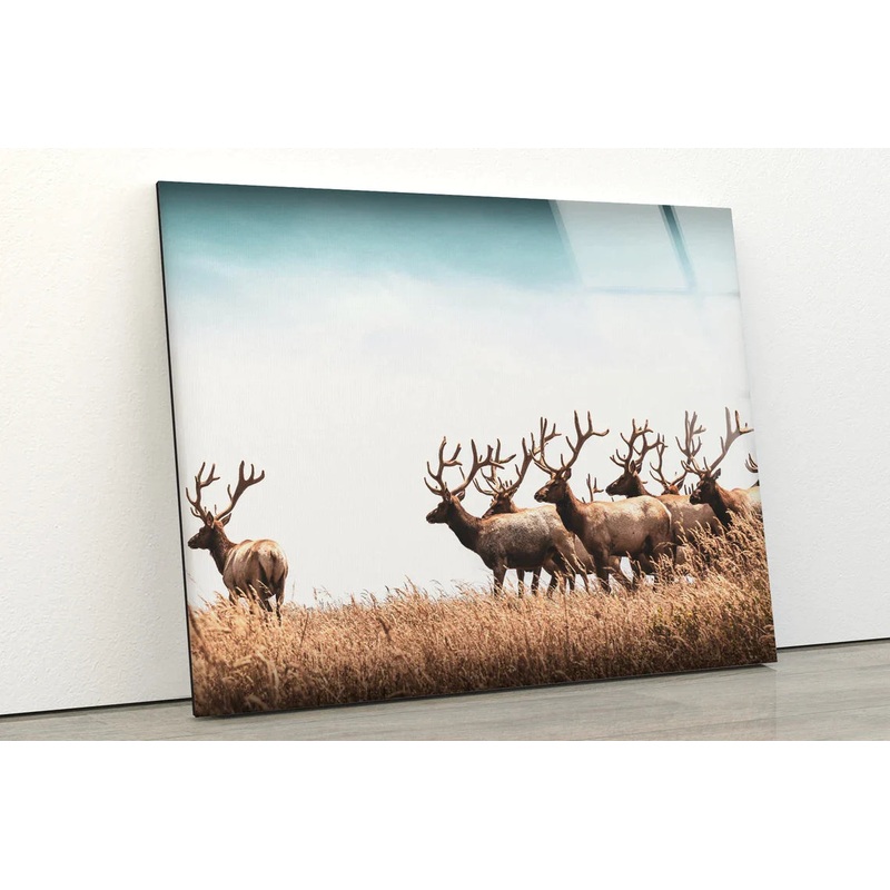 Deer Herd on Dry Grass UV Direct Aluminum Print Australian Made Quality