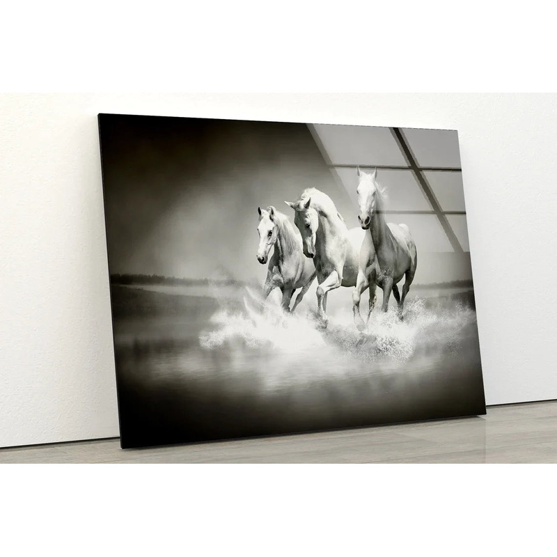 Horses Running B&W View UV Direct Aluminum Print Australian Made Quality