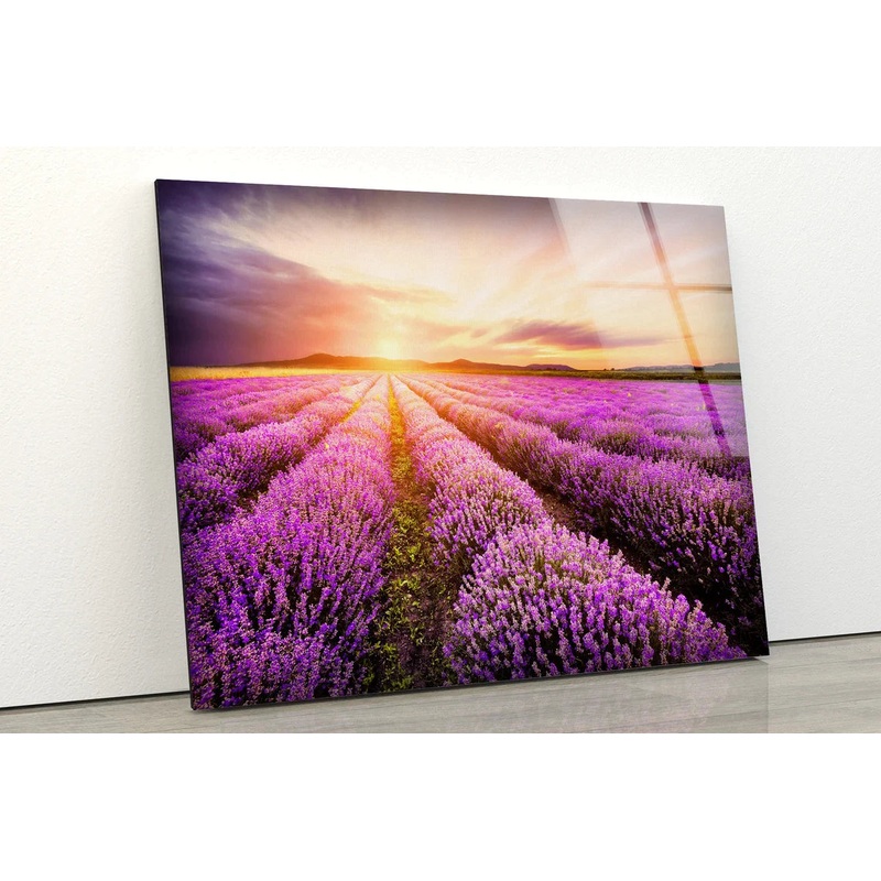 Lavender Field Sunset UV Direct Aluminum Print Australian Made Quality