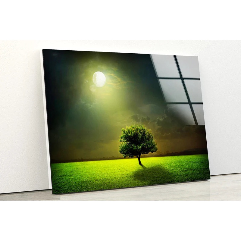 Moon Light on Tree UV Direct Aluminum Print Australian Made Quality