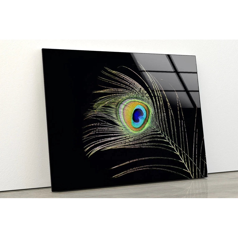 Peacock Feather Closeup UV Direct Aluminum Print Australian Made Quality