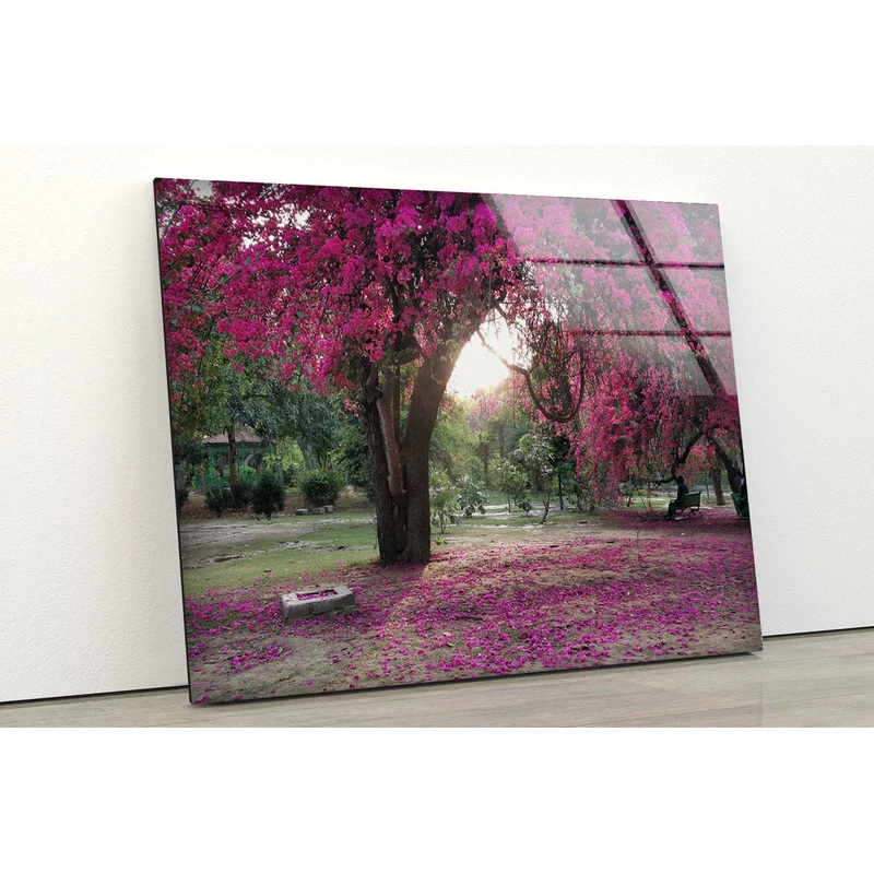 Pink Flower Tree Garden UV Direct Aluminum Print Australian Made Quality