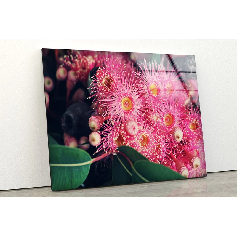 Pink Flowers Closeup UV Direct Aluminum Print Australian Made Quality