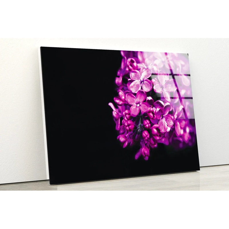 Pink Hydrangea on Dark UV Direct Aluminum Print Australian Made Quality