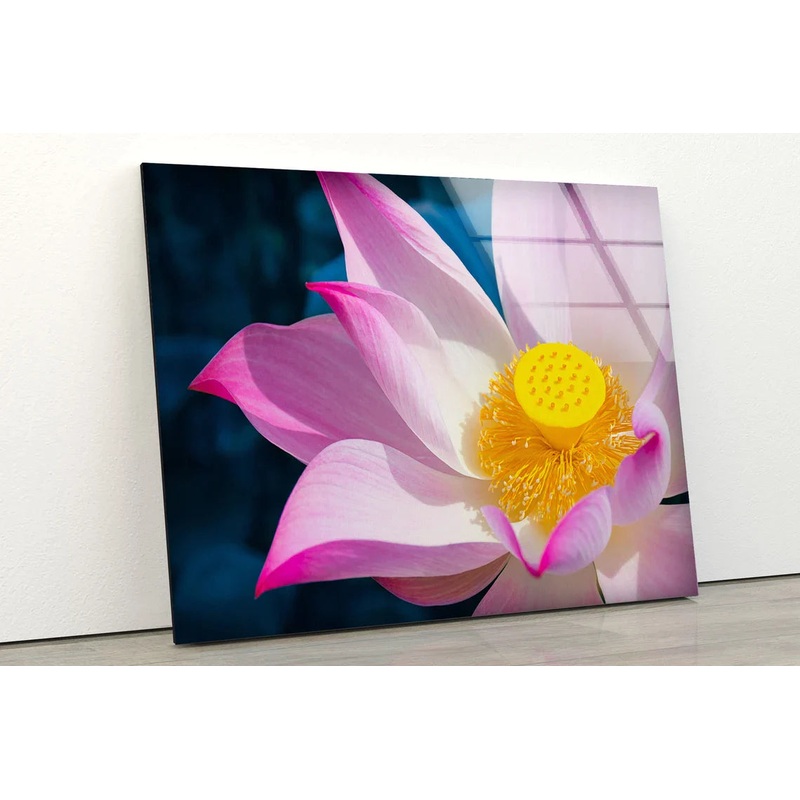 Pink Lotus Flower View UV Direct Aluminum Print Australian Made Quality