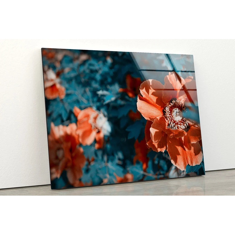 Red Flower Closeup View UV Direct Aluminum Print Australian Made Quality