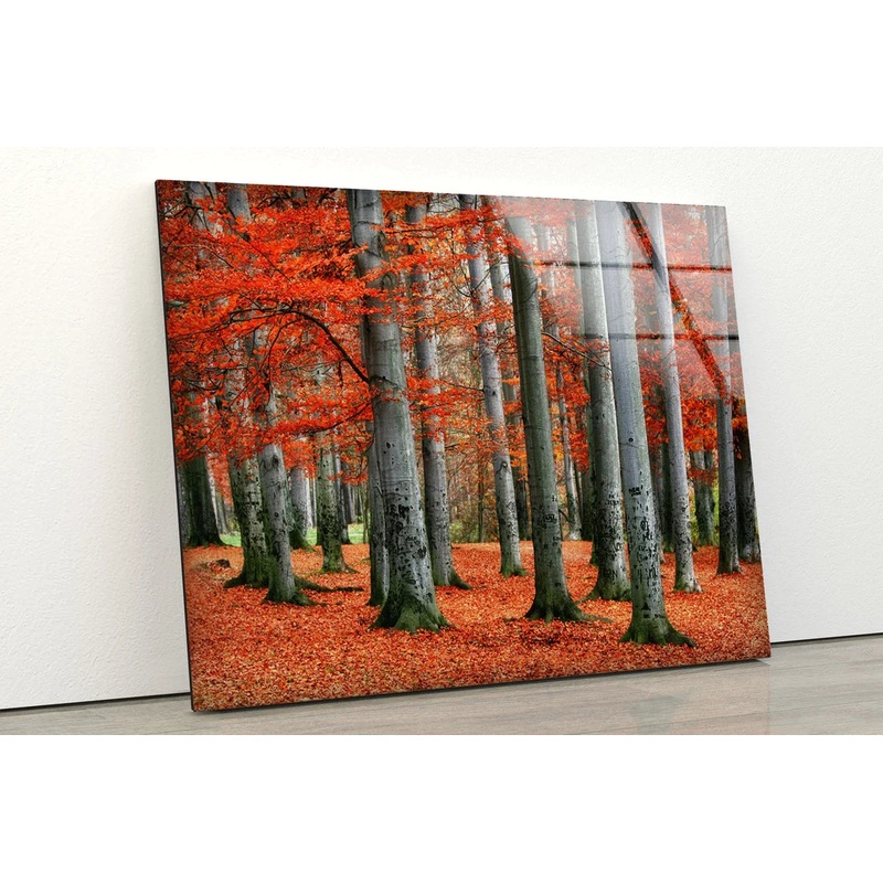 Red Leaves Tree Forest UV Direct Aluminum Print Australian Made Quality