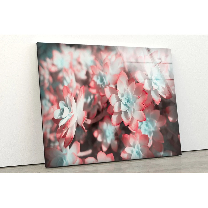 Red & White Flowers UV Direct Aluminum Print Australian Made Quality