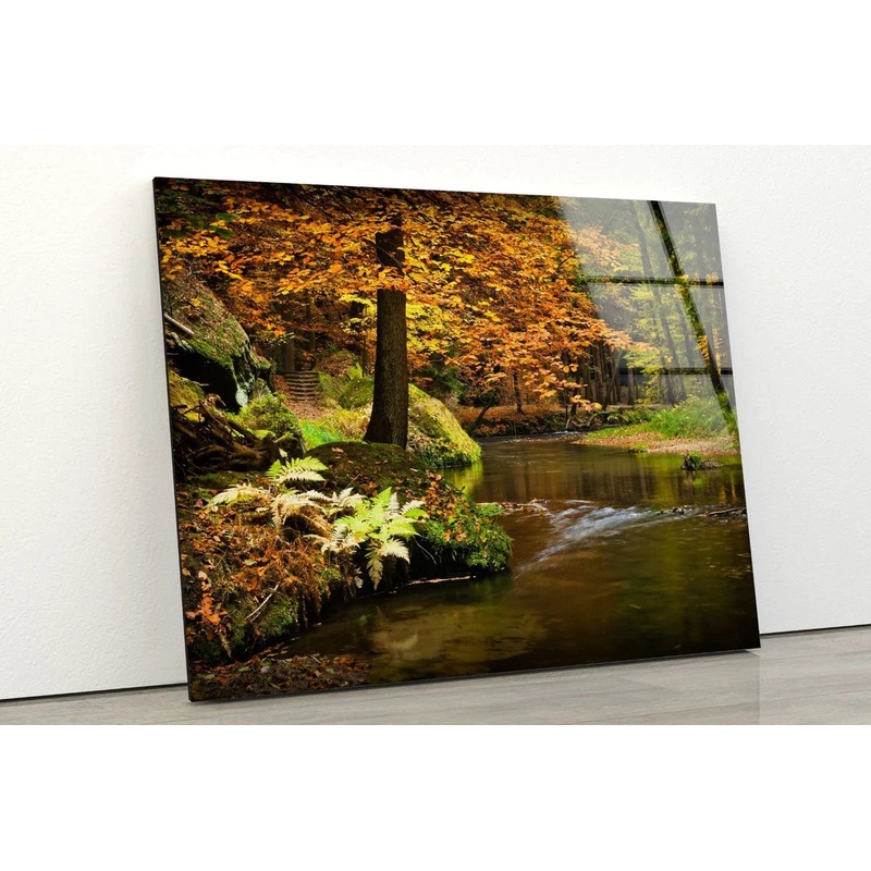 River & Forest Scenery UV Direct Aluminum Print Australian Made Quality