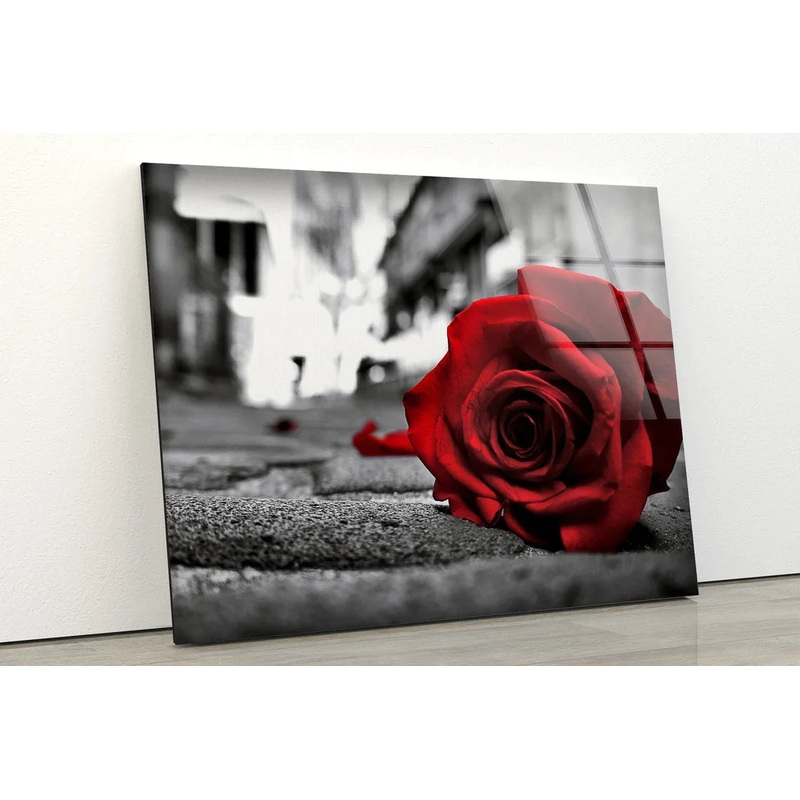 Rose Flower B&W View UV Direct Aluminum Print Australian Made Quality
