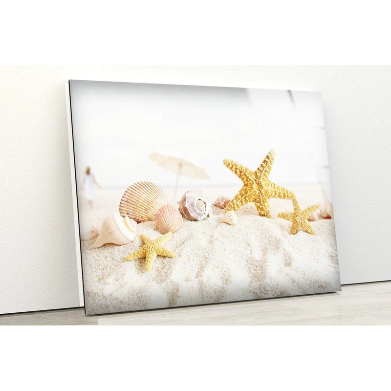 Sea Shells on Sand Sea UV Direct Aluminum Print Australian Made Quality