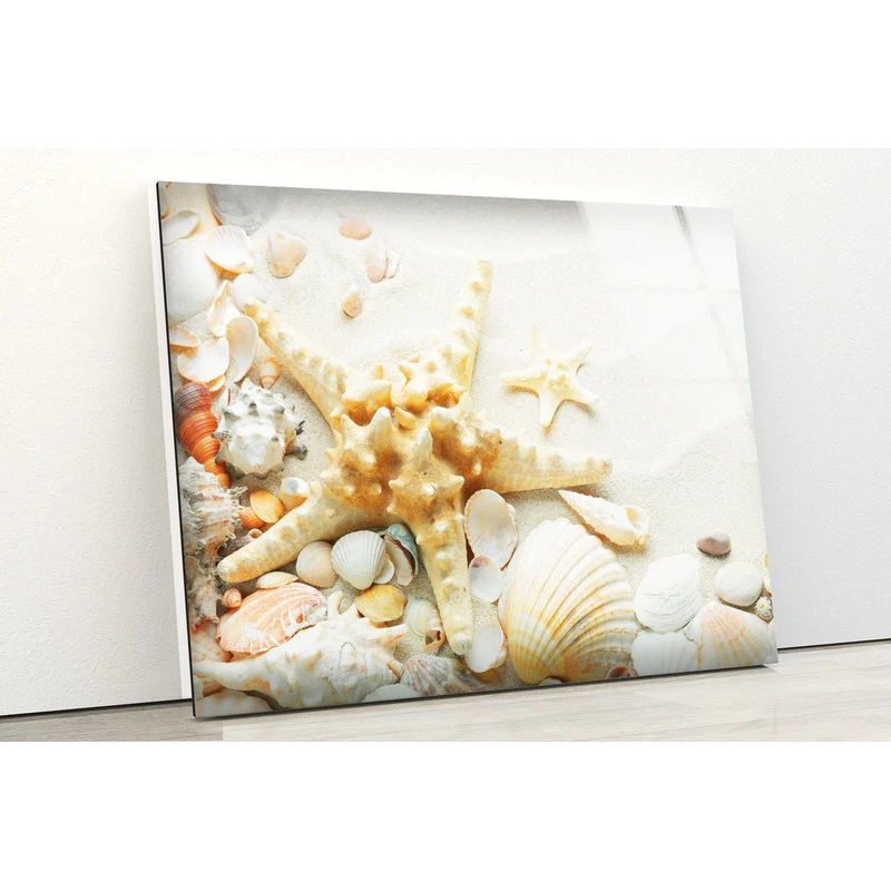 Sea Shells on Sand UV Direct Aluminum Print Australian Made Quality