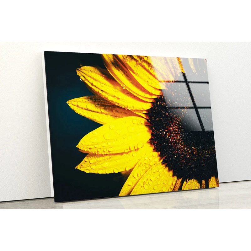 Sunflower Closeup UV Direct Aluminum Print Australian Made Quality