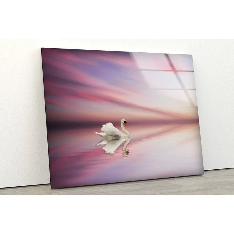 Swan on Lake Sunset UV Direct Aluminum Print Australian Made Quality