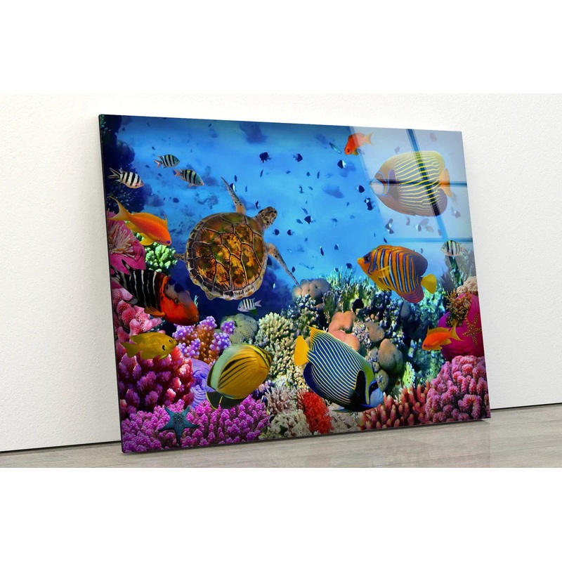 Under Water Fish Corals UV Direct Aluminum Print Australian Made Quality