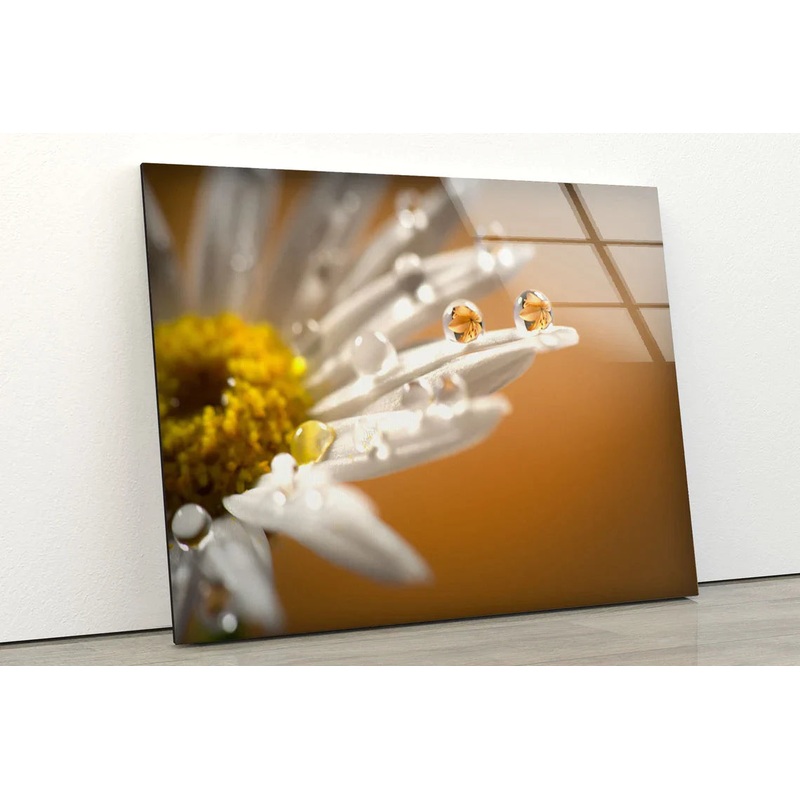 Waterdrops on Daisy UV Direct Aluminum Print Australian Made Quality
