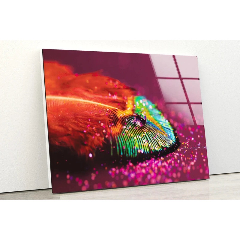Waterdrops on Feather UV Direct Aluminum Print Australian Made Quality