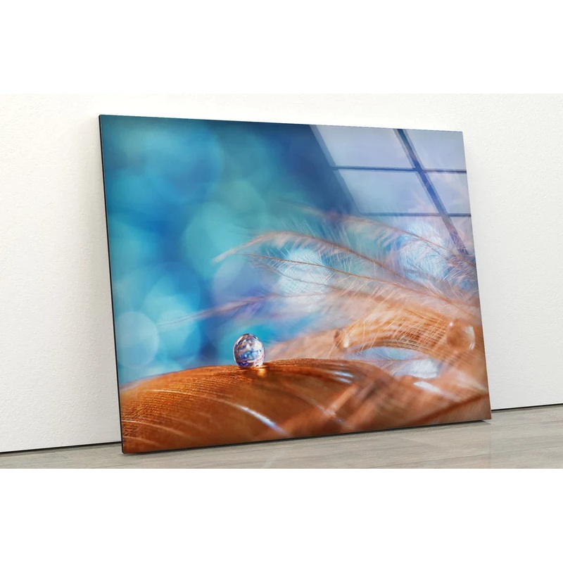Waterdrops on Feathers UV Direct Aluminum Print Australian Made Quality