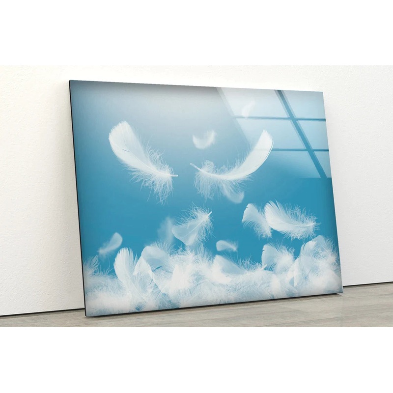 White Feathers Closeup UV Direct Aluminum Print Australian Made Quality