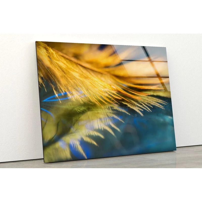 Yellow Feather Closeup UV Direct Aluminum Print Australian Made Quality