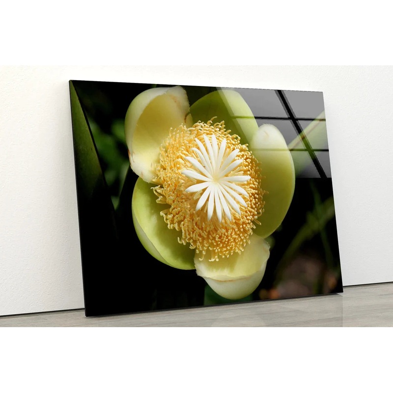 Yellow Flower Closeup UV Direct Aluminum Print Australian Made Quality
