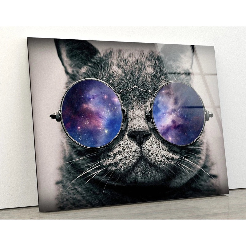 Cat with Sunglasses B&W UV Direct Aluminum Print Australian Made Quality