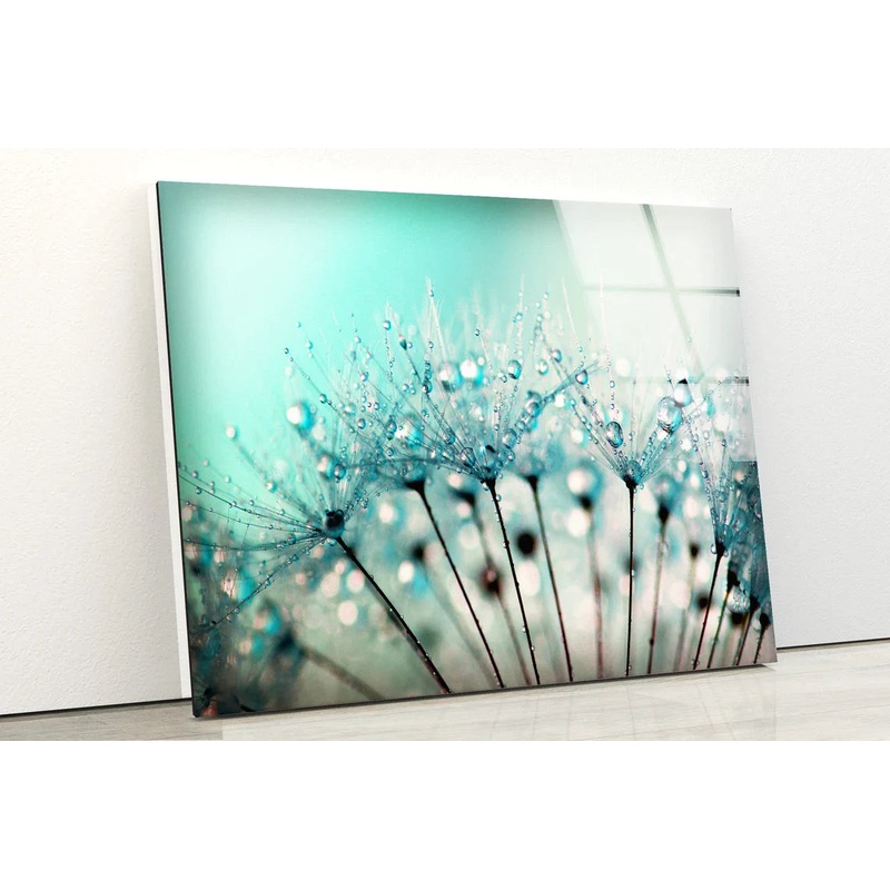 Dandelion Flowers View UV Direct Aluminum Print Australian Made Quality