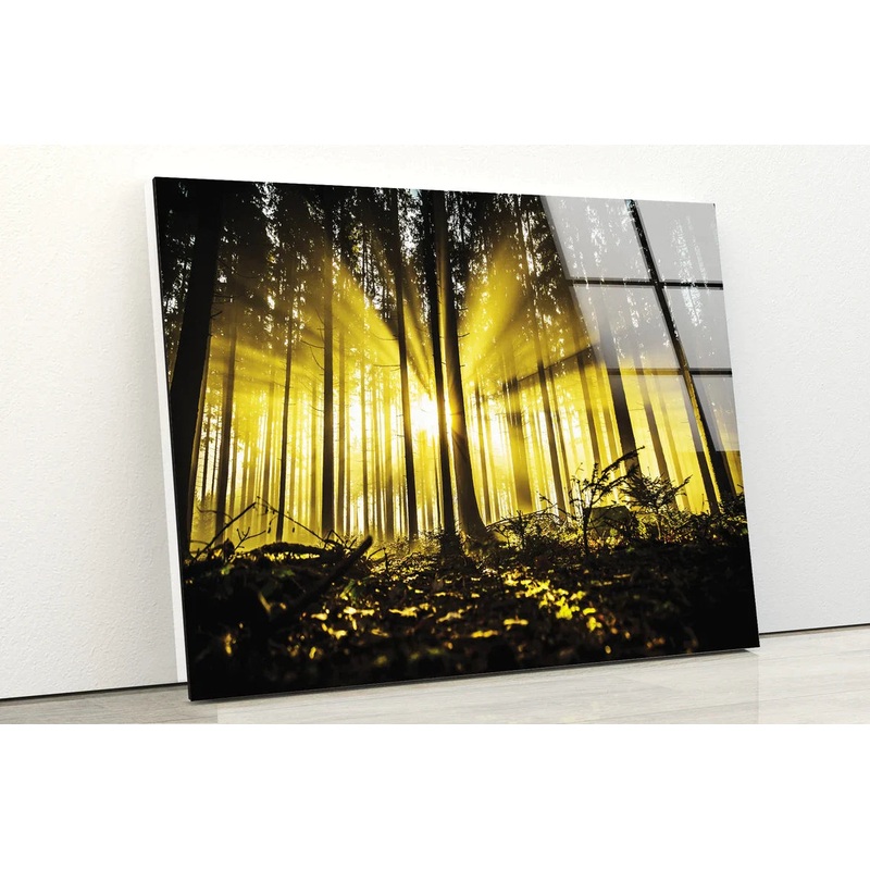 Dark Forest & Sunrays UV Direct Aluminum Print Australian Made Quality