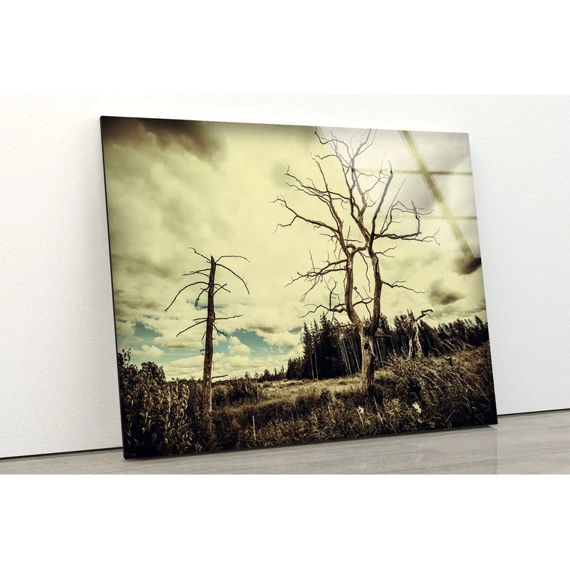 Dead Tree & Forest UV Direct Aluminum Print Australian Made Quality